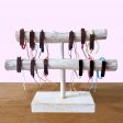 (image for) Handmade Friendship Bracelets - Unprinted Custom ready Coconut (asst)