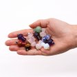 (image for) Gemstone Mushrooms Pendants (12 assorted) 20x15mm