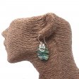 (image for) Shell & Silver Earrings - Abalone